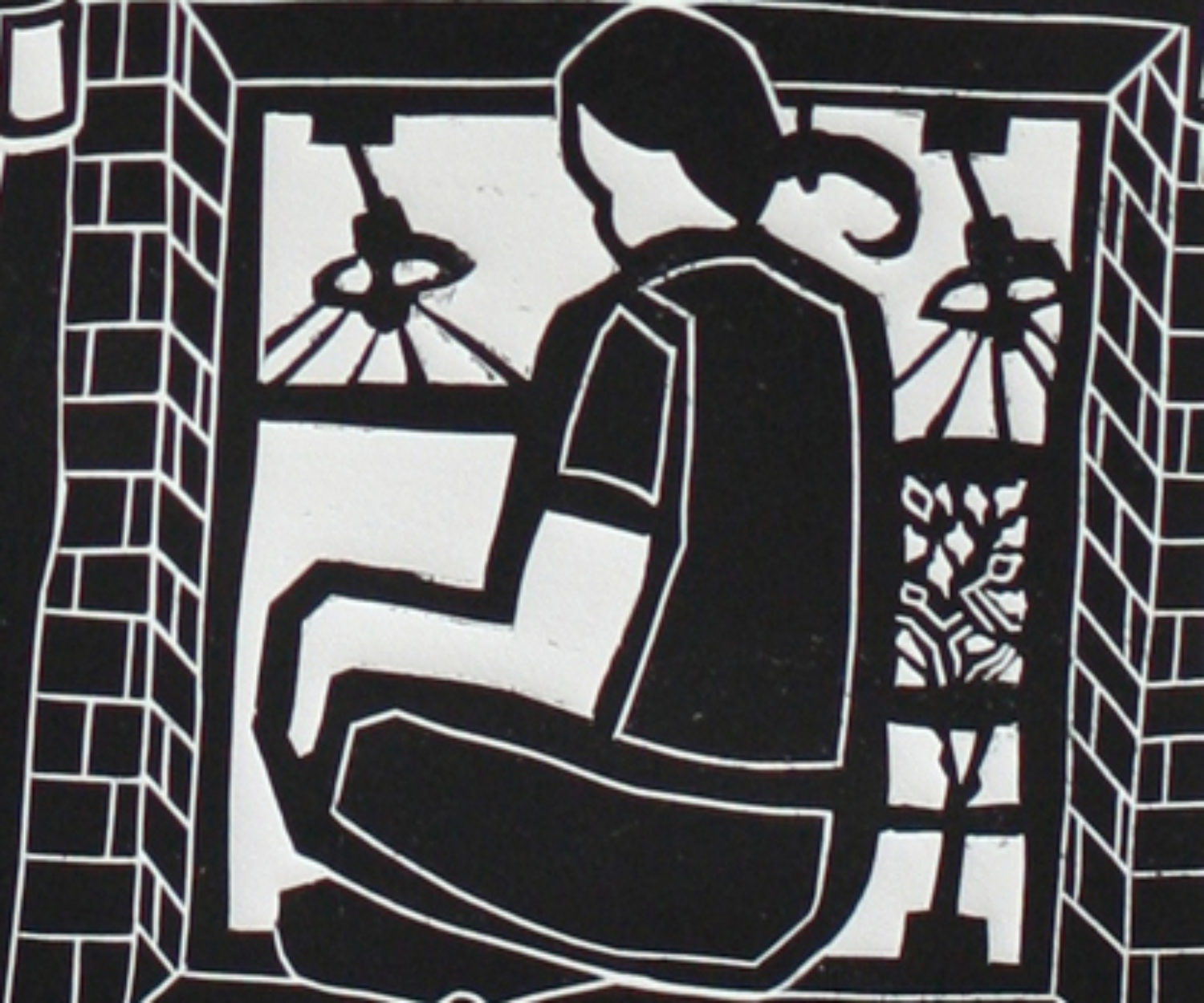 rocky mountain Aspen tree I call home 